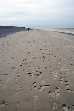 Footprint